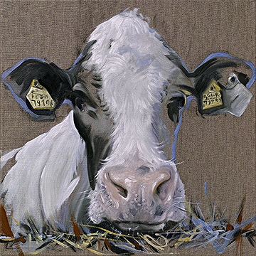 Werkreihe-Kuh- &Ouml;l/Lw 50 x 50 cm